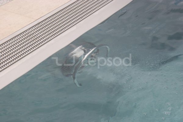 040e4d924351ea247bb69071973c7b52