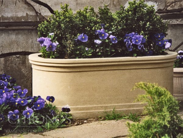 0f26d8bf8627e197ca8ed62a81c19950