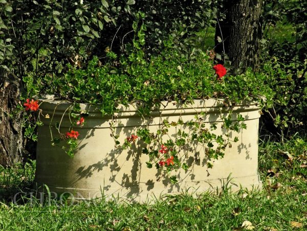 50c09fbe6ea83d5d7f637f2e2b9f7d1e