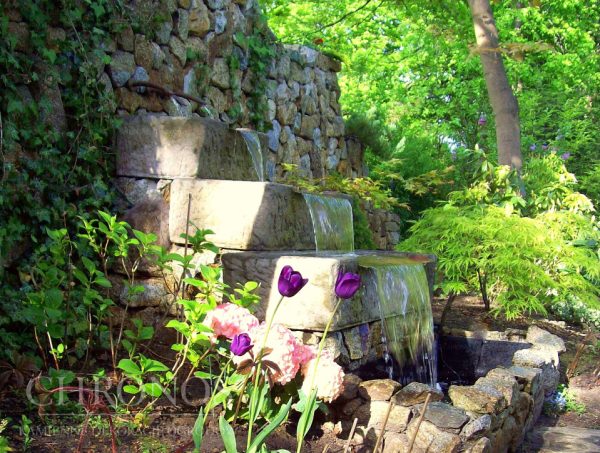 99968051d42d577b7adc2c81cc141b18