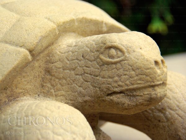 b7b61f20bfe72ec1921102627854f3f9